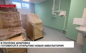 В поселке Дубровка Всеволожского района в ближайшее время начнет работу новая амбулатория