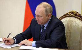 В поддержку самовыдвижения Путина собрали свыше 1,8 млн подписей со всей страны