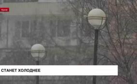 В Ленинградской области обещают похолодание