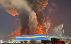 Ущерб от сгоревшего склада в Шушарах оценили более чем в 10 млрд рублей