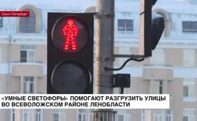 Умные светофоры помогают разгрузить улицы во Всеволожском районе Ленобласти