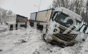На М-10 в Тосненском районе столкнулись два грузовика и две легковушки