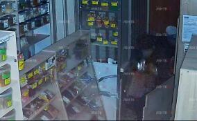 Двое злоумышленников обокрали магазин в Сланцах