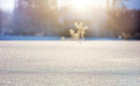 Бесснежная и морозная погода ожидается в Петербурге и Ленобласти 2 января