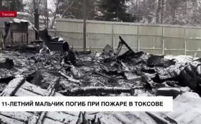 11-летний мальчик погиб при пожаре в поселке Токсово