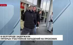 В Белгороде задержали пятерых участников нападений на прохожих