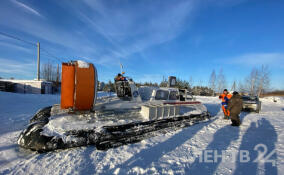 С начала декабря на льду в Ленобласти погибли 3 человека