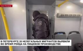 В Петербурге 20 нелегальных мигрантов выявили во время рейда на пищевом производстве