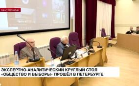 Экспертно-аналитический круглый стол «Общество и выборы» прошел в Петербурге