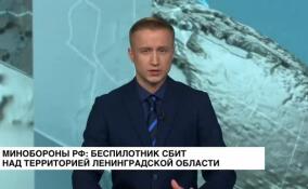 Минобороны РФ: беспилотник сбит над территорией Ленинградской области