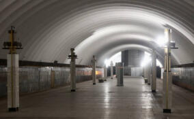 Станция метро «Ладожская» откроется после капитального ремонта 27 января