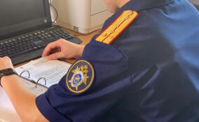 СК проверяет информацию о незаконном удержании пациентов реабилитационного центра в Ленобласти