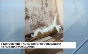 В Кирове ищут кота, которого высадила из поезда проводница