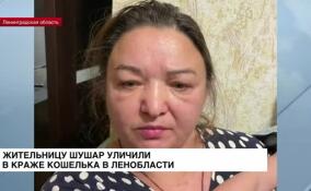В Петербурге задержана подозреваемая в похищении кошелька у гатчинской пенсионерки