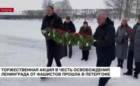 Торжественная акция в честь освобождения Ленинграда от фашистов прошла в Петергофе