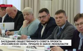 В ЗакСе Ленобласти прошло заседание Общественного совета проекта «Российское село»