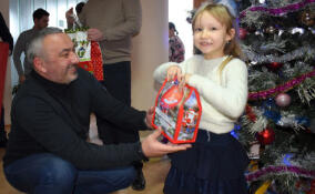 Новогодние подарки вручили юным жителям Енакиево в рамках «Ёлки желаний»