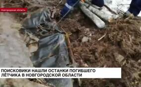 Поисковики нашли останки погибшего летчика в Новгородской области