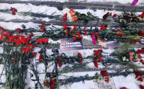 День траура: Ленобласть скорбит вместе с Донецком