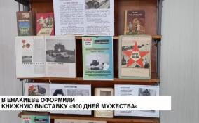 В Енакиево оформили книжную выставку «900 дней мужества»