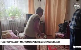 Маломобильные жители Енакиево получили паспорт гражданина России