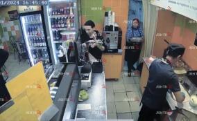 Пьяный посетитель разгромил кафе в Стрельне
