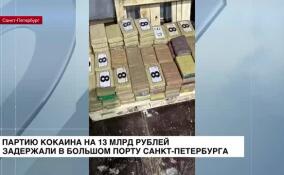Партию кокаина на 13 млрд рублей задержали в большом порту Петербурга