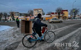 Мокрый снег прогнозируют в Петербурге и Ленобласти 25 января