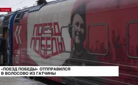 За два дня работы «Поезда Победы» в Ленобласти выставку посмотрели почти 2300 посетителей