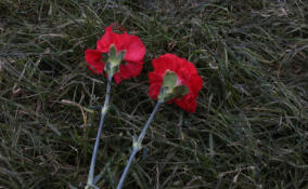 В России могут учредить день памяти детей, ставших жертвами военных конфликтов