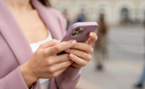Жителей Ленобласти предупреждают о возможных сбоях в работе мобильного интернета