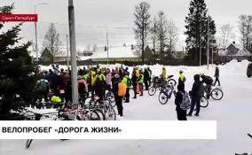 Около 70 человек приняли участие в велопробеге «Дорога жизни»
