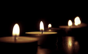 В День 80-летия освобождения Ленинграда от фашистской блокады петербуржцы вышли на акцию "Свеча памяти"