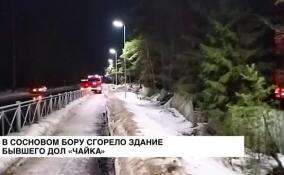 В Сосновом Бору сгорело здание бывшего детского оздоровительного лагеря «Чайка»