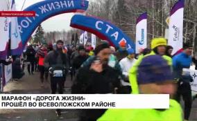 Во Всеволожском районе прошел марафон «Дорога жизни»