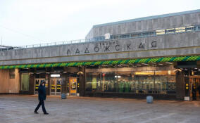 Комтранс Петербурга показал обновленную станцию метро «Ладожская»