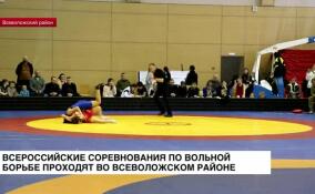 Всероссийские соревнования по вольной борьбе проходят во Всеволожском районе