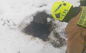 В Ленобласти спасатели вытащили из выгребной ямы собаку