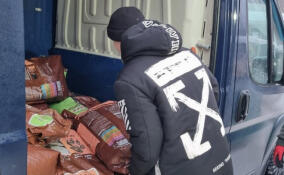 Более тонны высококачественного корма передали Приозерскому приюту для бездомных животных