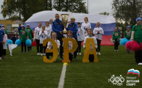 Два школьных спортклуба из Ленобласти стали призерами Всероссийского конкурса
