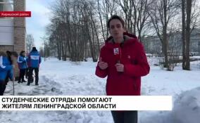 Студенческие отряды помогают жителям Ленинградской области