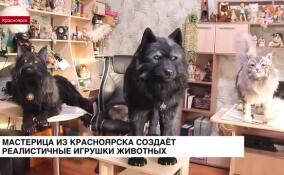 Мастерица из Красноярска создает реалистичные игрушки животных