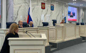 Изменения в  «Социальном кодексе Ленинградской области» обсудили на заседании ЗаКса