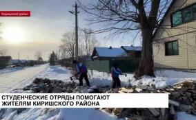 Студенческие отряды помогают жителям Киришского района