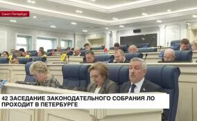 42-е заседание Законодательного собрания Ленинградской области проходит в Петербурге
