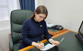 В число соавторов законопроекта о конфискации имущества за фейки о ВС РФ вошла Ольга Занко
