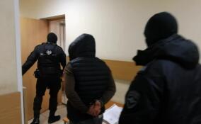 Таксиста-извращенца из Ленобласти заключили под стражу на 2 месяца