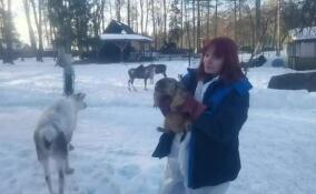 Сурок Филимон из Ленобласти предсказал позднюю весну – видео