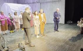 Год семьи в Ленобласти стартовал со спектакля «Земля Эльзы» в «Театре на Васильевском»