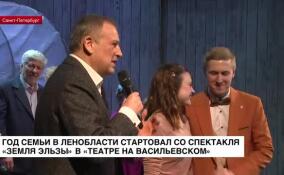Год семьи в Ленобласти стартовал со спектакля «Земля Эльзы» в Театре на Васильевском
